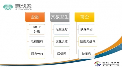 陜西廣電網絡集客業務百花齊放 專網專線、信息化集成與電視門戶的多元發展