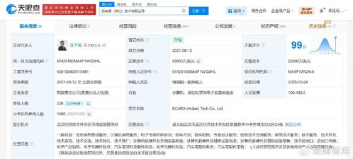 億咖通湖北公司完成大幅增資，加速互聯網技術開發布局